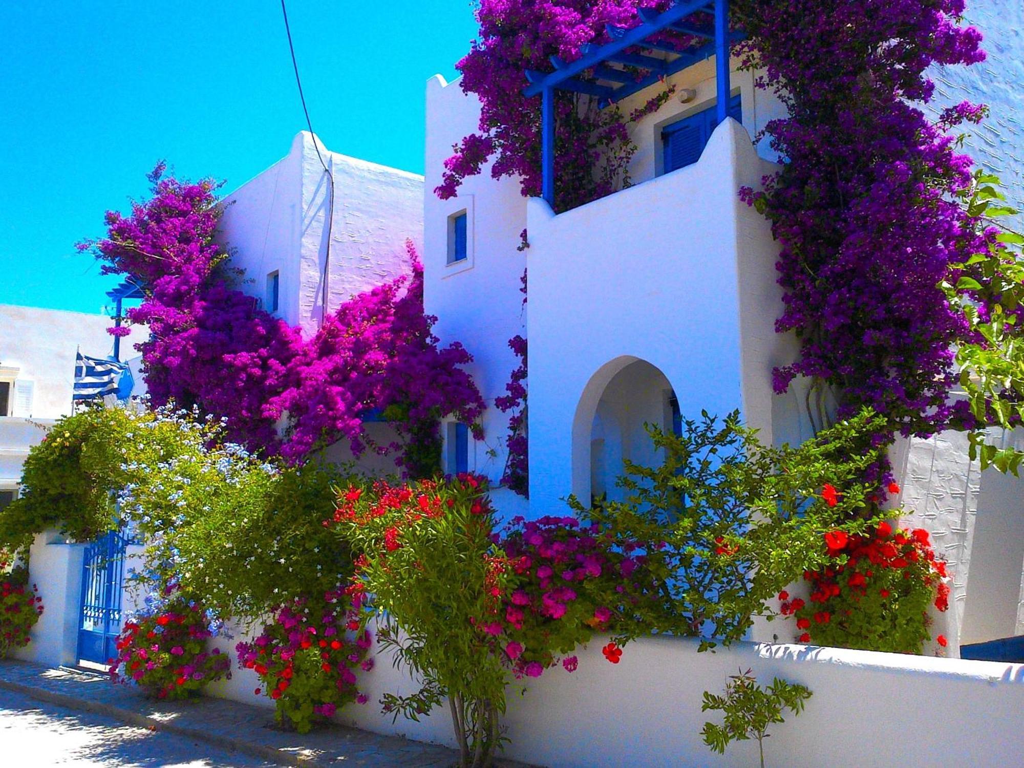 Pelagos Studios Parikia  Exterior photo