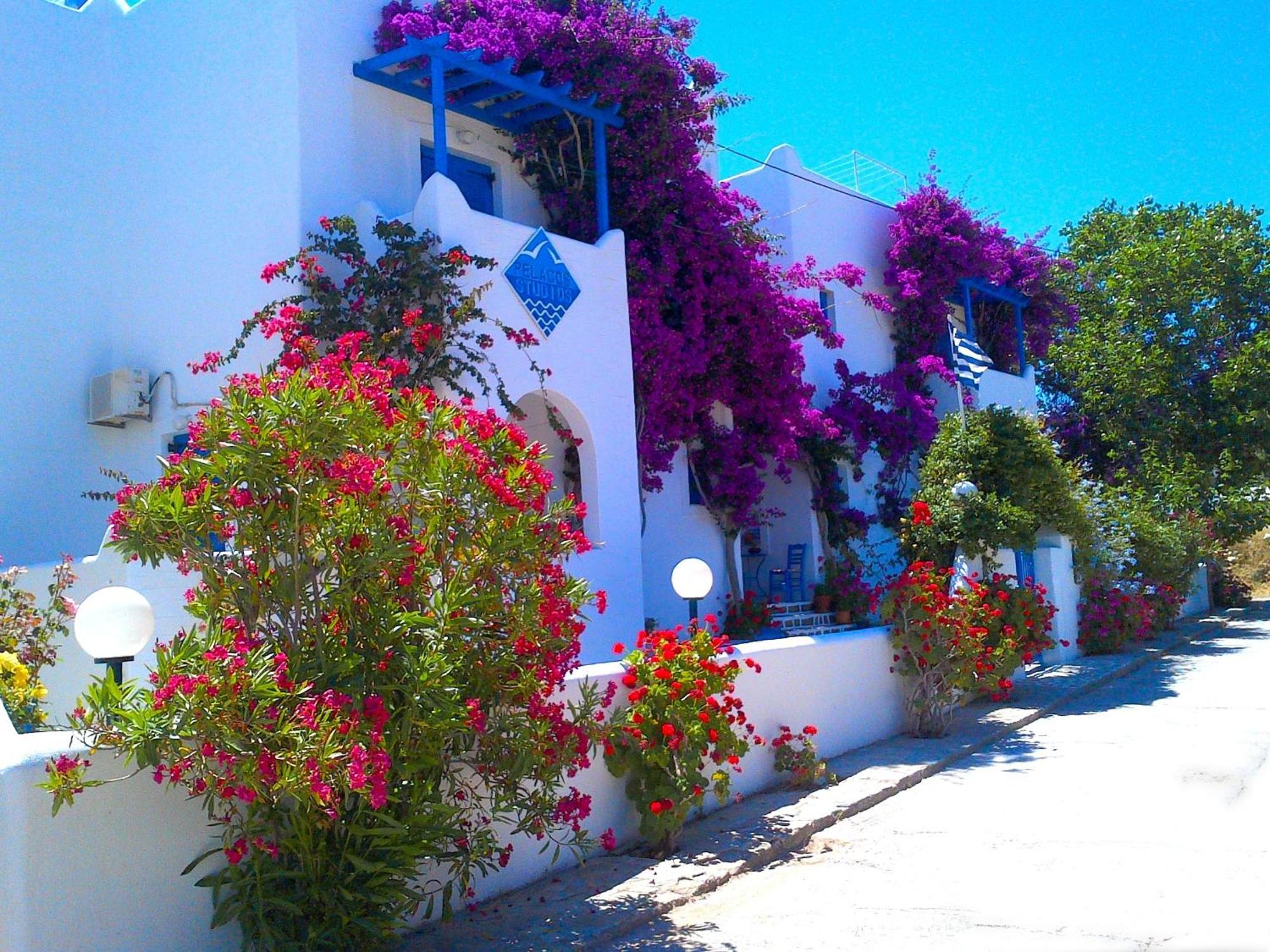 Pelagos Studios Parikia  Exterior photo