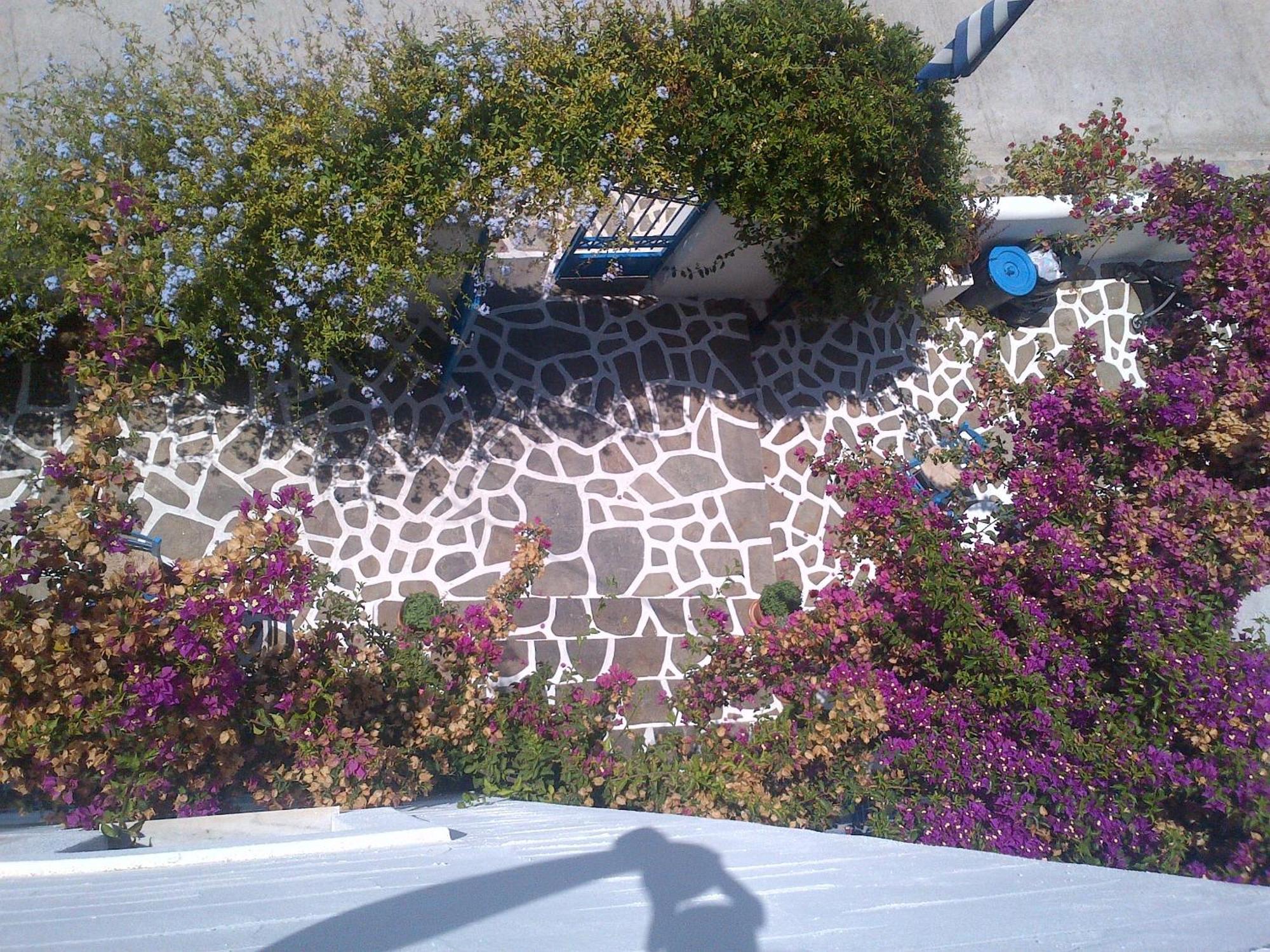 Pelagos Studios Parikia  Exterior photo