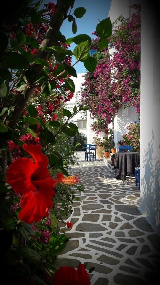 Pelagos Studios Parikia  Exterior photo