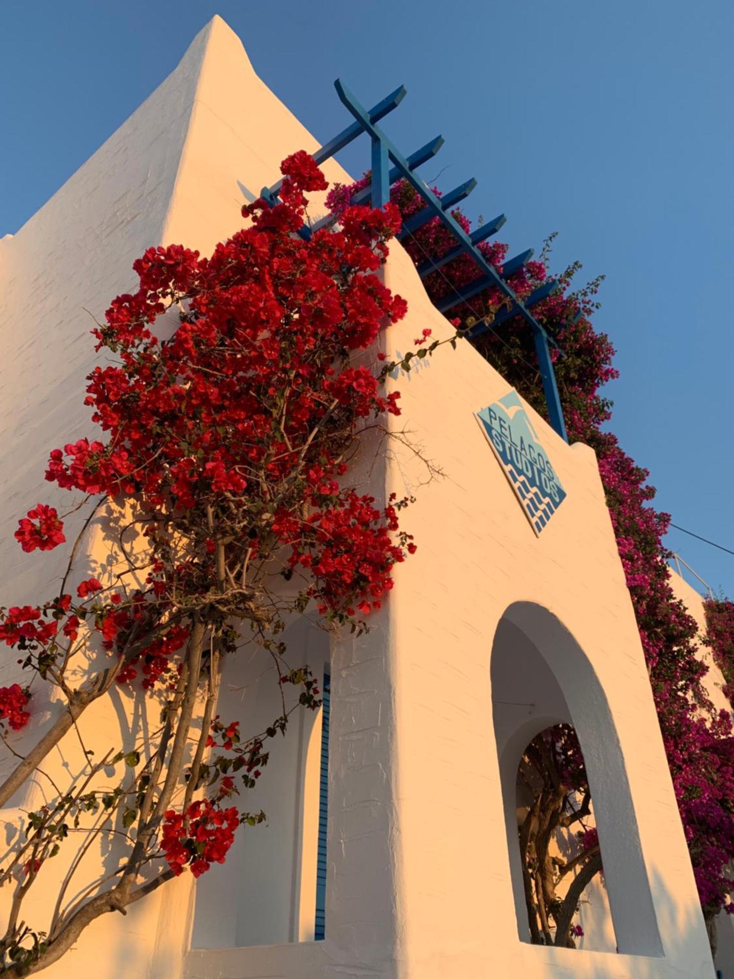 Pelagos Studios Parikia  Exterior photo