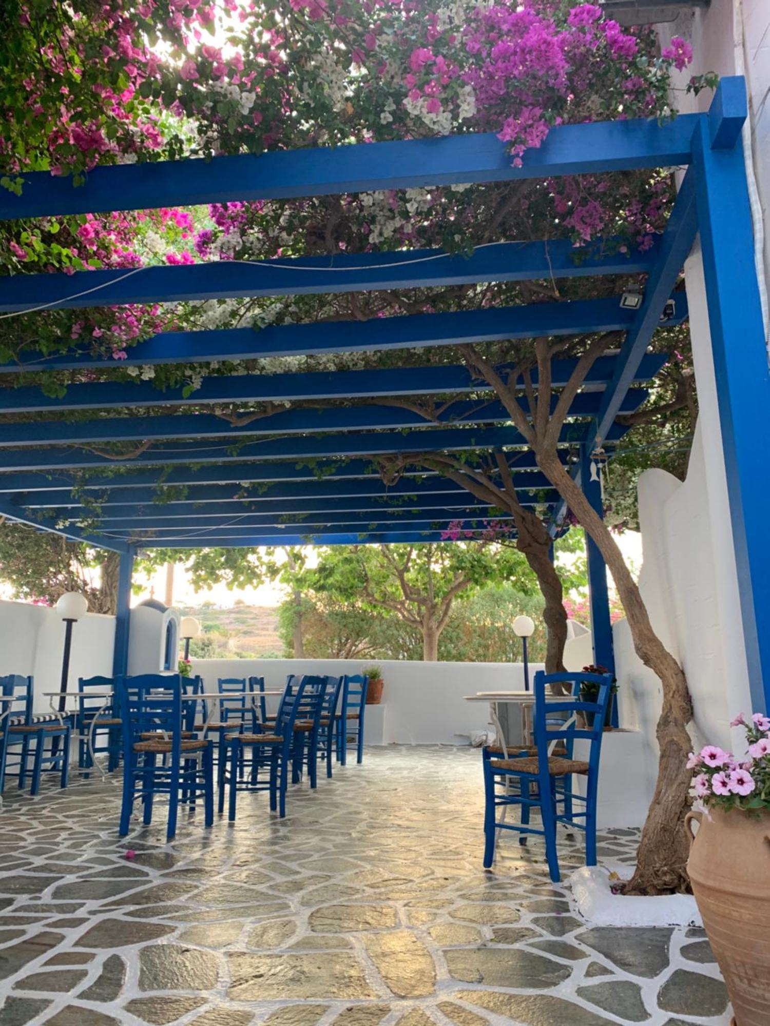 Pelagos Studios Parikia  Exterior photo